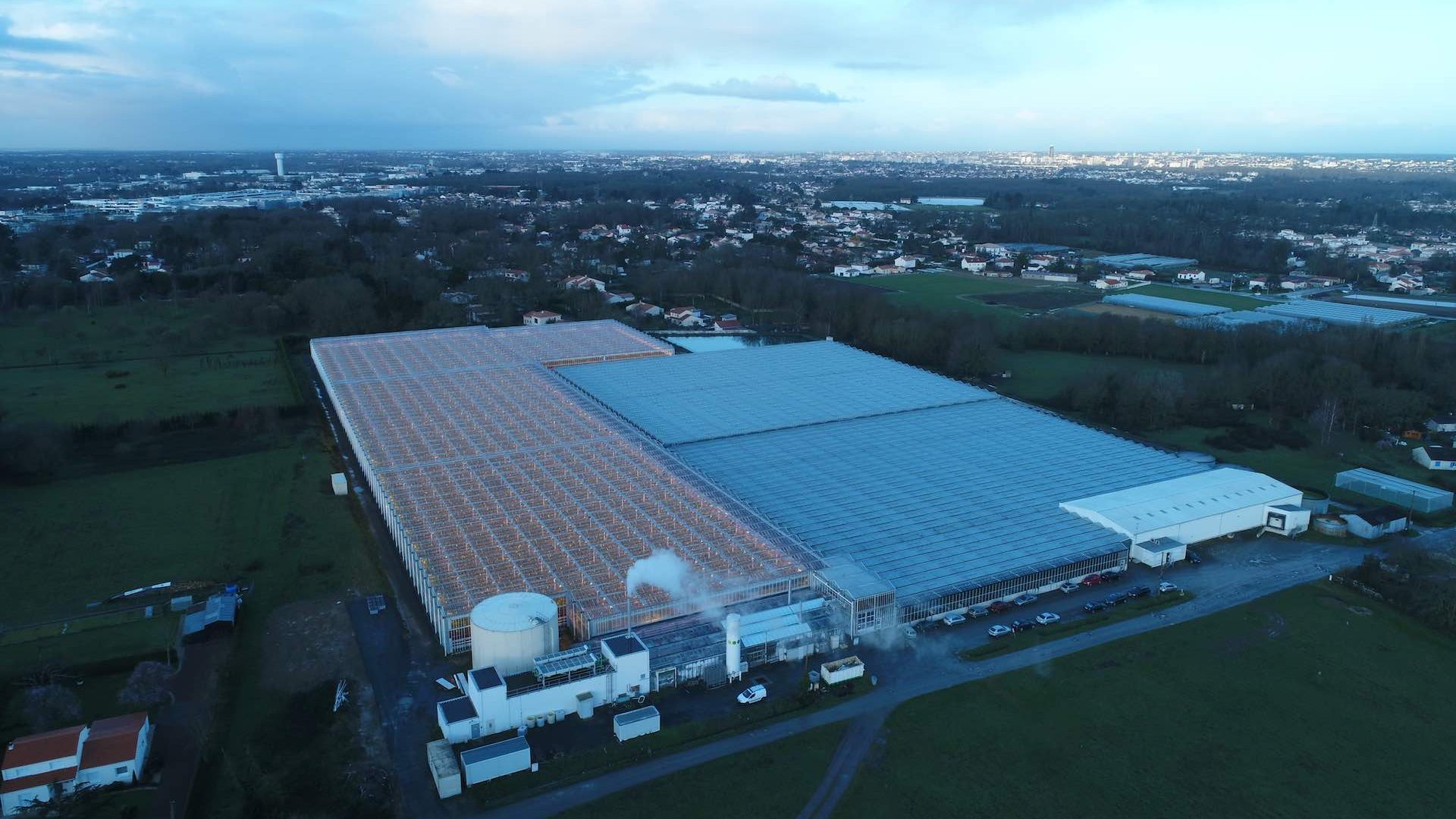 Vue par drone d'installations Hortilux