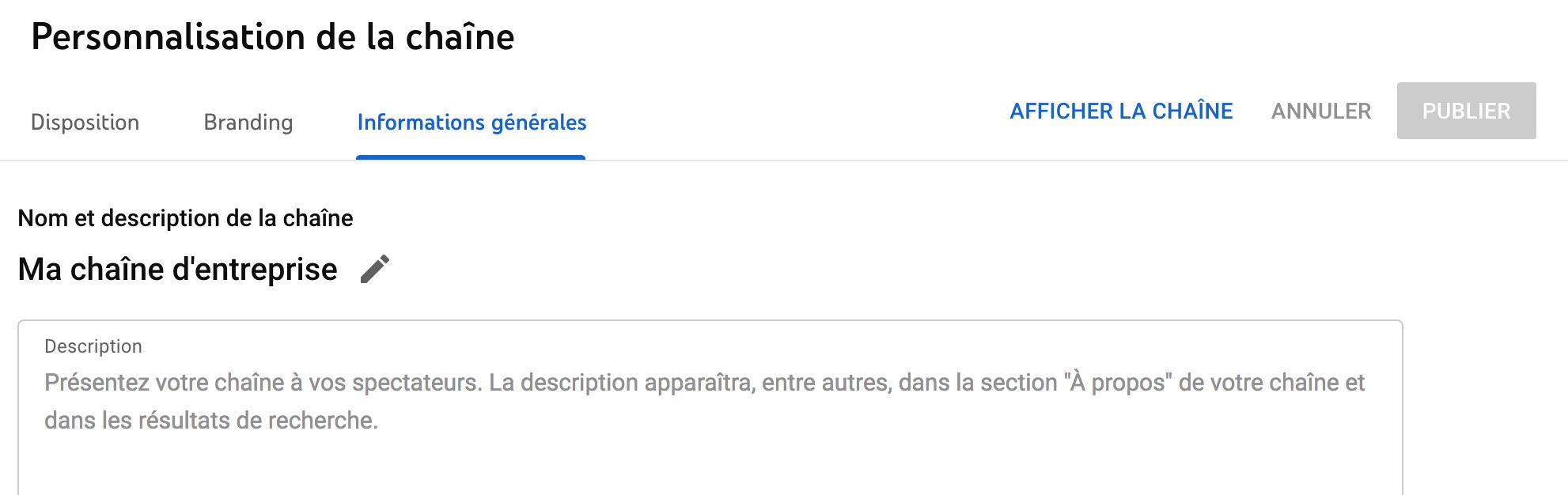 Remplir la description de sa chaîne YouTube